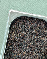 Arroz negro ecológico