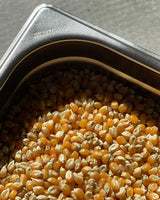 Maíz para palomitas ecológico